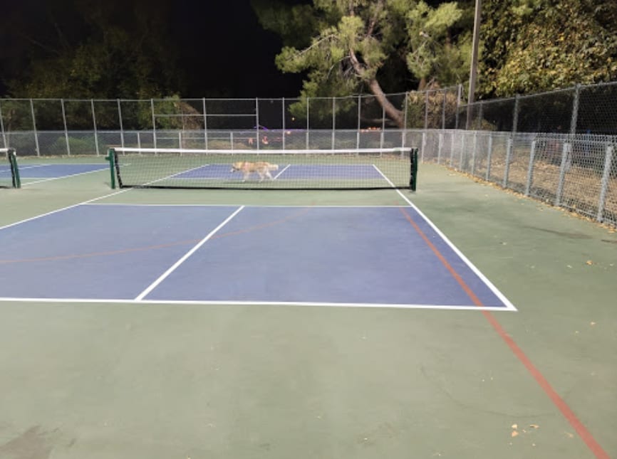 A pickleball court at Wheeler Park.