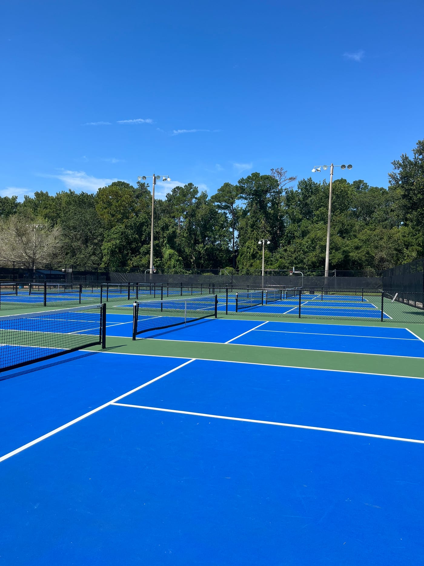 A pickleball court at Argyle Forest Park.